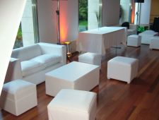 AMBIENTACIONES Y CARPAS PARA EVENTOS 